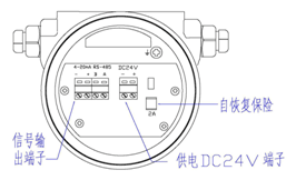 气体质量流量计(图10)